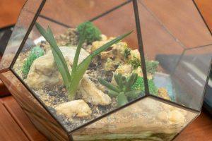 Представительство в ФАС