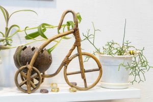 Захват части участка со стороны соседей