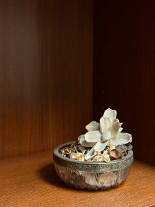 Споры с массажистом