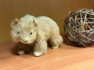 Адвокат по компьютерным программам и базам данных