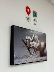 Банкротство при долевой собственности