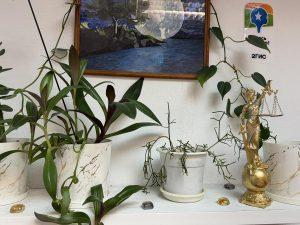 Адвокат в сфере интеллектуального права