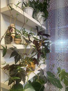 Круглогодичный призыв в 2026 году