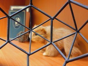 ДТП с участием нескольких автомобилей