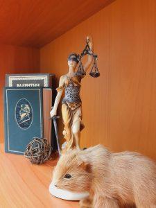 Мошенничество с недвижимостью