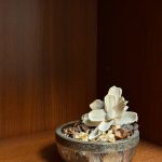 Споры с массажистом