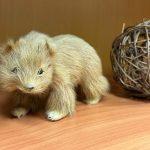 Адвокат по компьютерным программам и базам данных