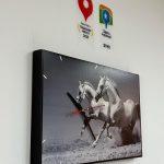 Банкротство при долевой собственности