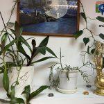 Адвокат в сфере интеллектуального права