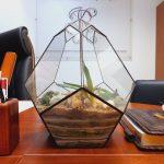 Адвокат по ст. 117 УК РФ