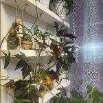 Круглогодичный призыв в 2026 году