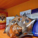 Кейс Сабурова: ответственность за высказывания