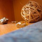 Споры по государственным и муниципальным контрактам