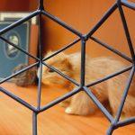 ДТП с участием нескольких автомобилей