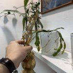 Претензия продавцу