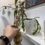 Претензия продавцу