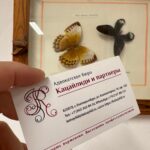 Расторжение договора с застройщиком