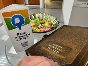 Обжалование бездействия налоговой