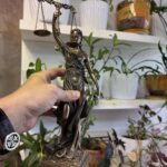 Споры с Федеральным агентством воздушного транспорта