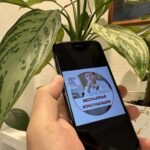 Образец частной жалобы на определение об оставлении искового заявления без движения