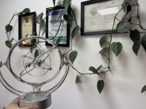 Порядок включения имущества в конкурсную массу